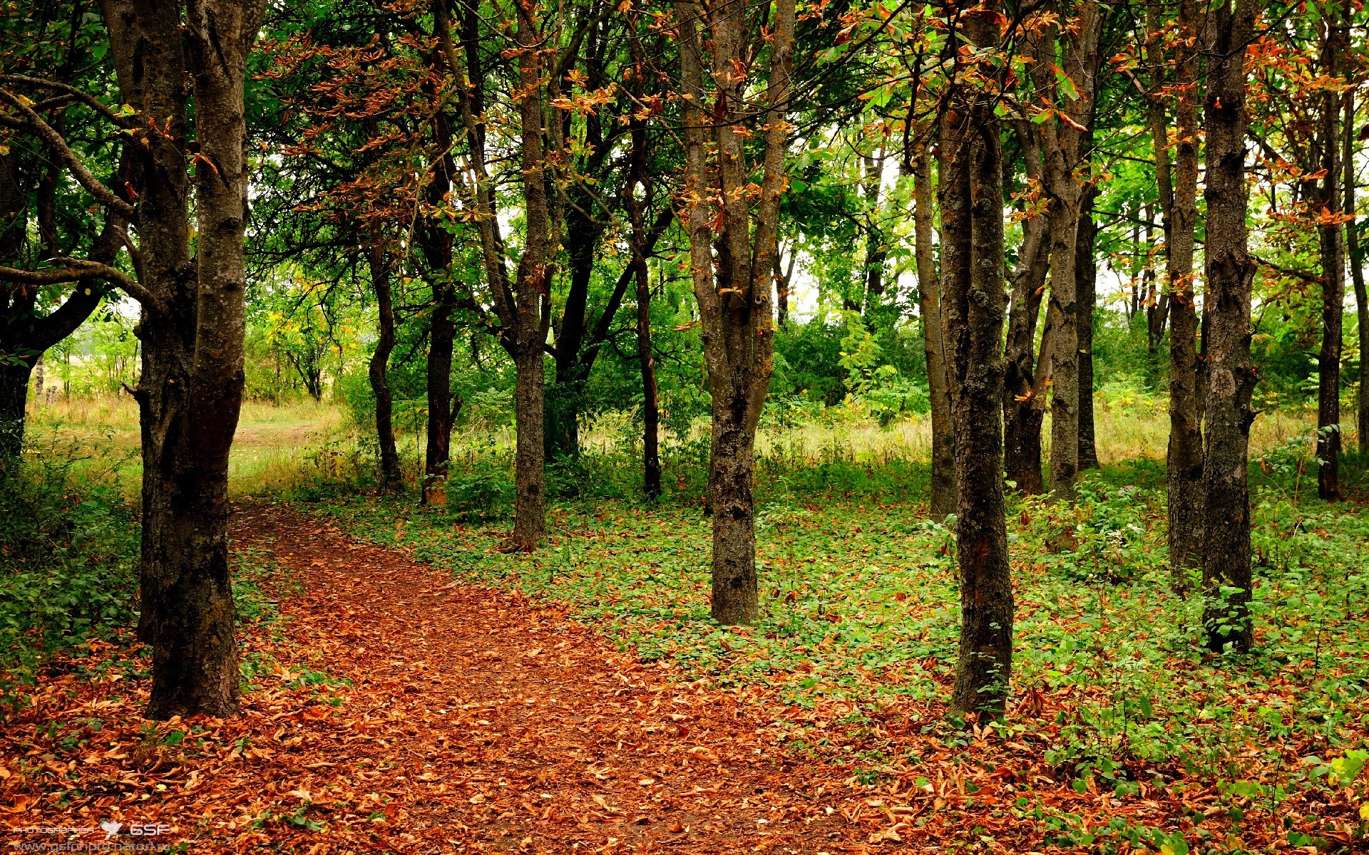 冰封之后的一刀,文班亚马极限补篮,刺破快船铁幕防守