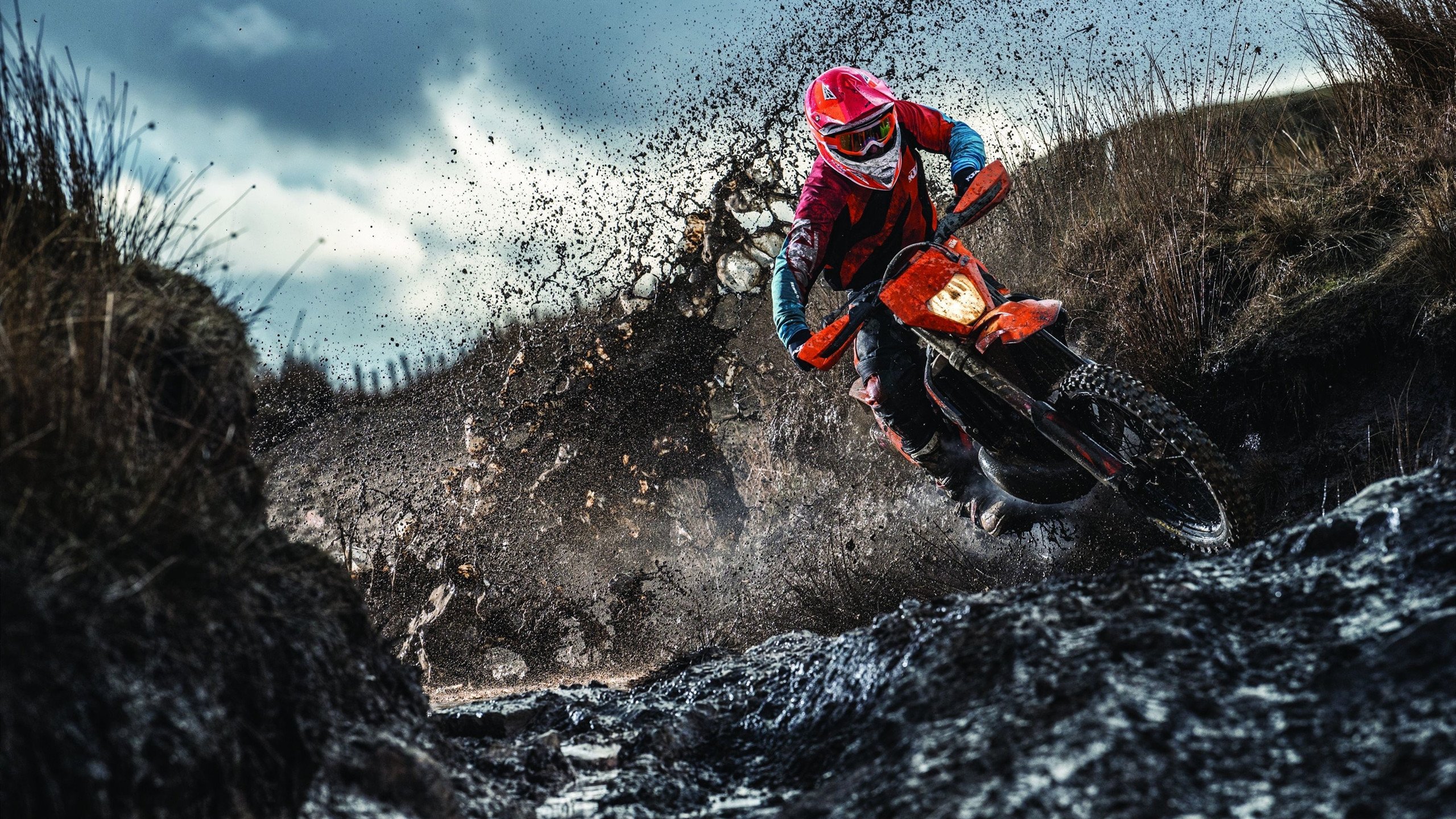 恩比德的双面处刑者艺术