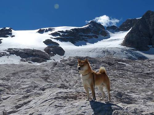 舞台越大,越亮的光芒,从塔图姆的传奇表现看篮球无国界的启示