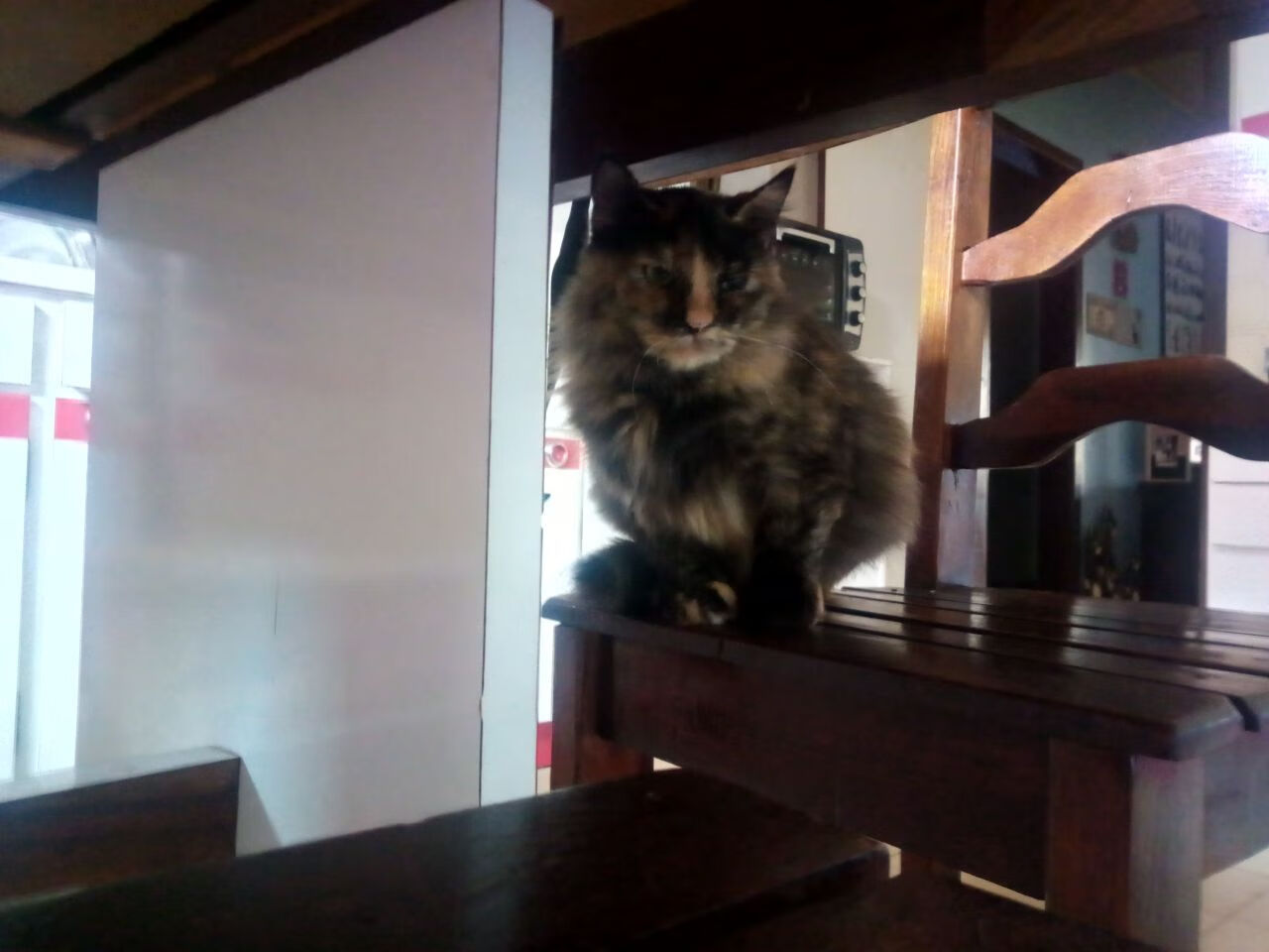 唯一之战,乔治爆发,快船提前终结新疆队悬念