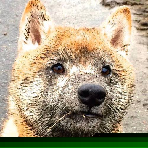 摩洛哥鏖战中国,卡拉斯科用一束火焰,映照出绿茵的辩证寓言