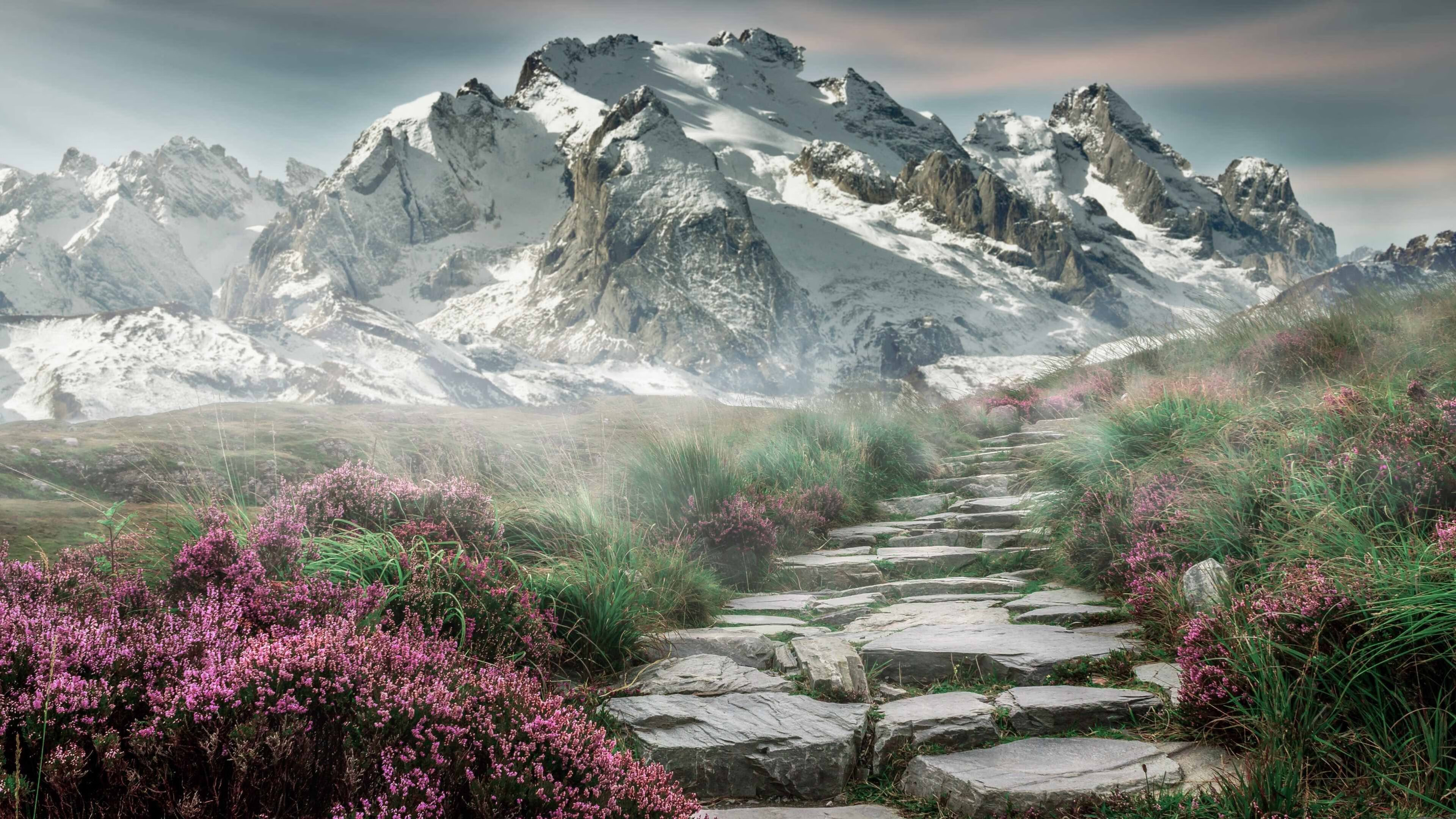 冰与熊的逆袭，欧文末节19分助吉林东北虎叼走孟菲斯灰熊