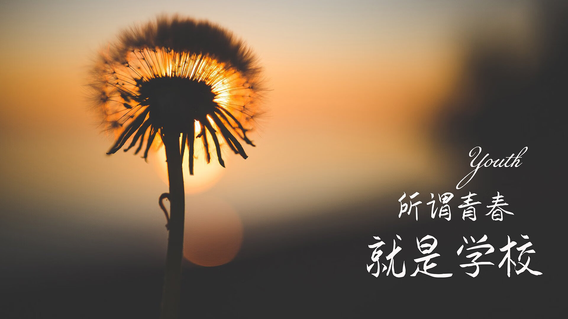 当潘帕斯雄鹰折翼，一场唯一性的风暴，如何定义2026世界杯的H组传奇
