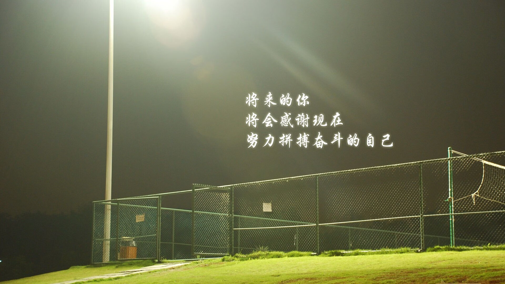 以下是为你构思的标题和文章